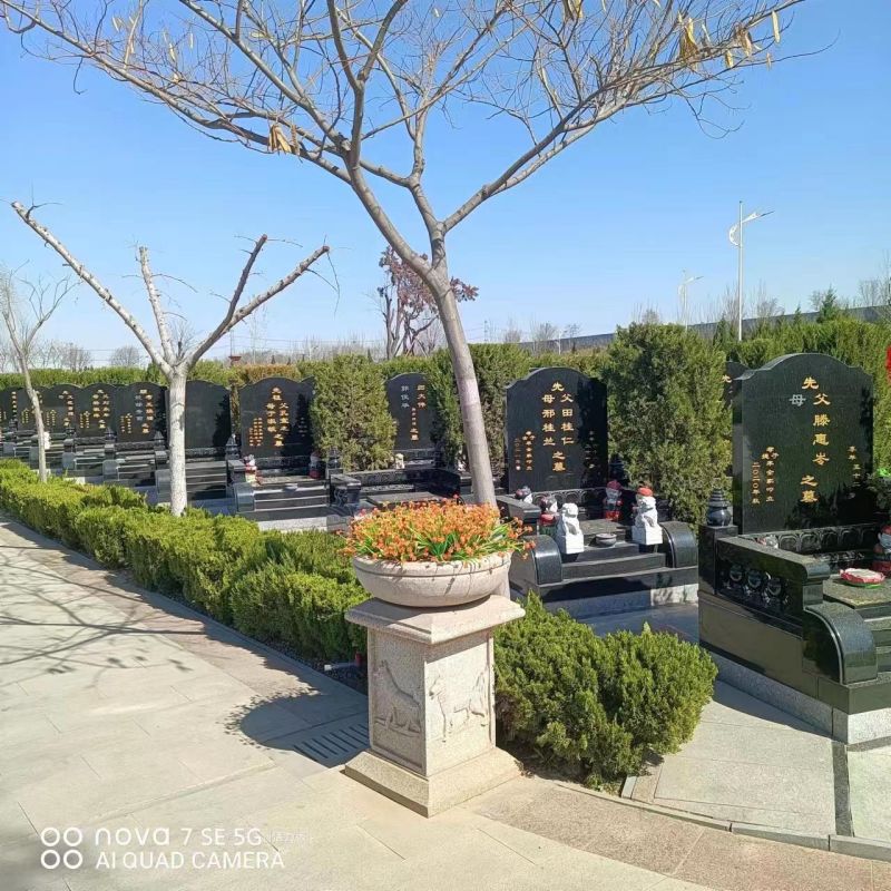 永安陵公墓-永安陵人文纪念园都是家人留下的思念痕迹