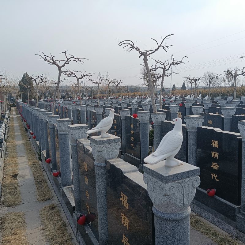 永安陵公墓-永安陵人文纪念园教我们如何优雅地告别，帮我们安放珍贵的记忆