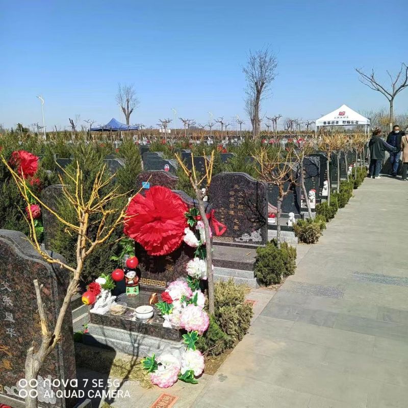 永安陵公墓-永安陵人文纪念园承载记忆的生命港湾